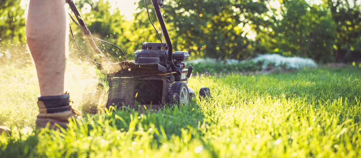 Gardener mowing a lawn in warm natural light