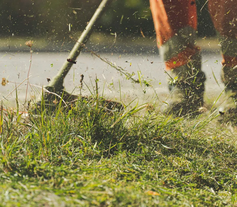 Lawn mower cutting long grass during a garden maintenance visit