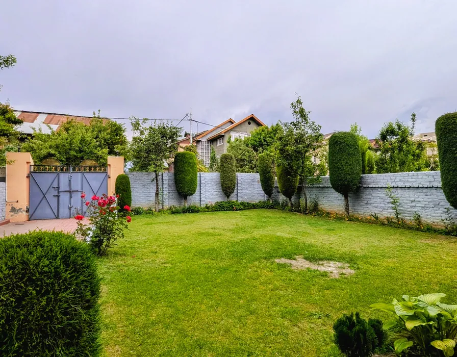 Tidy residential garden with a lawn and neatly shaped shrubs